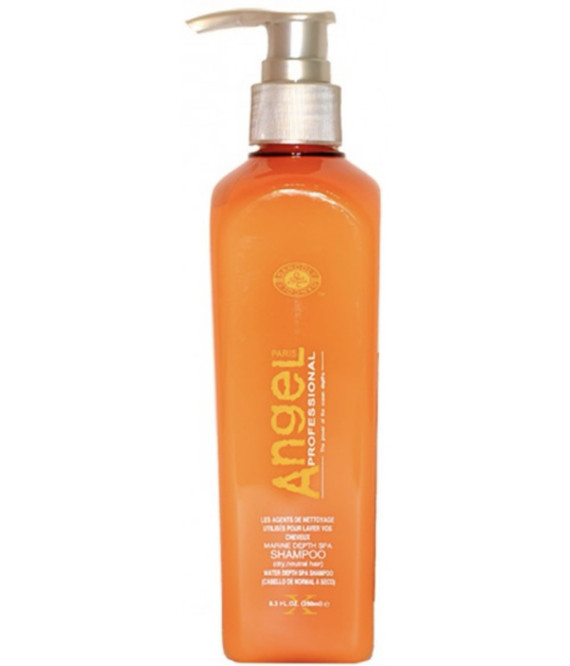 Шампунь Angel Professional для сухого і нормального волосся 500ml.
